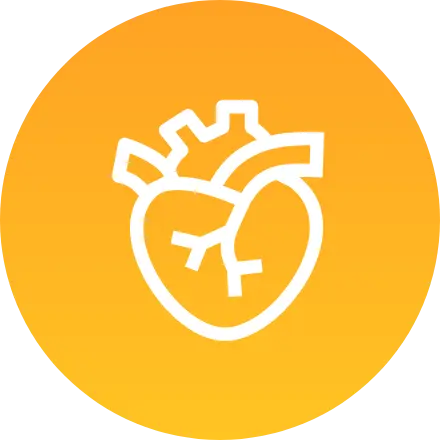 循環器内科をみる