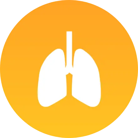 呼吸器内科をみる